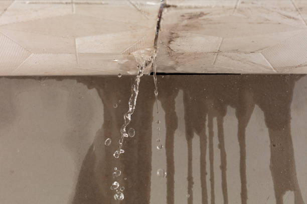 Professional Structural Drying technician working in Amesville, OH